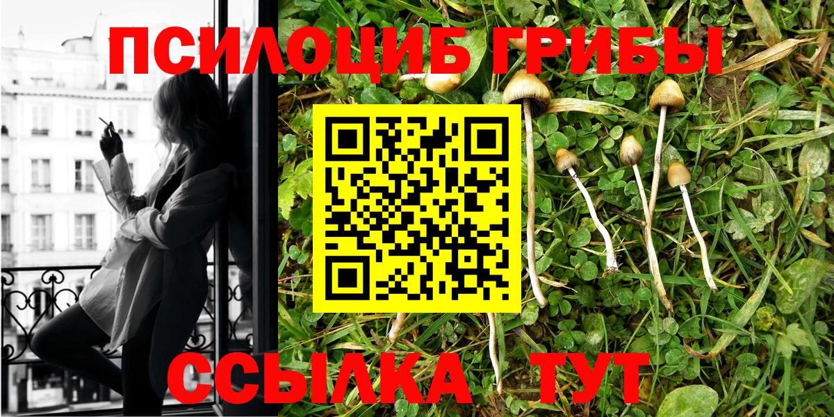 Галлюциногенные грибы прущие грибы Барабинск