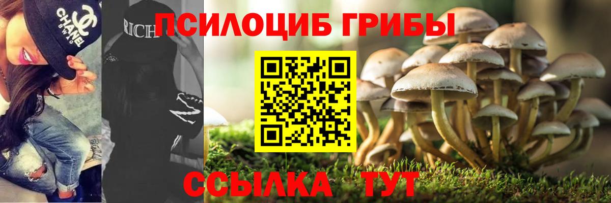 Псилоцибиновые грибы Psilocybine cubensis  Псилоцибиновые грибы прущие грибы  Барабинск  Вход с VPN 